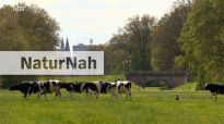 NaturNah berichtet aus dem Bremer Bürgerpark
