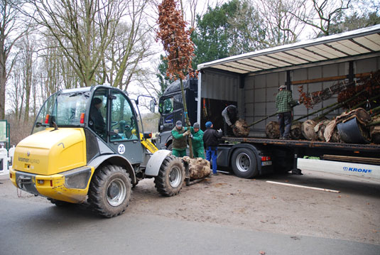 Entladen der Bäume