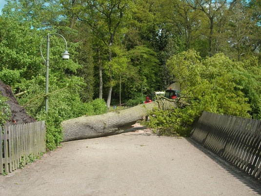 Sturmschaden im Tiergehege